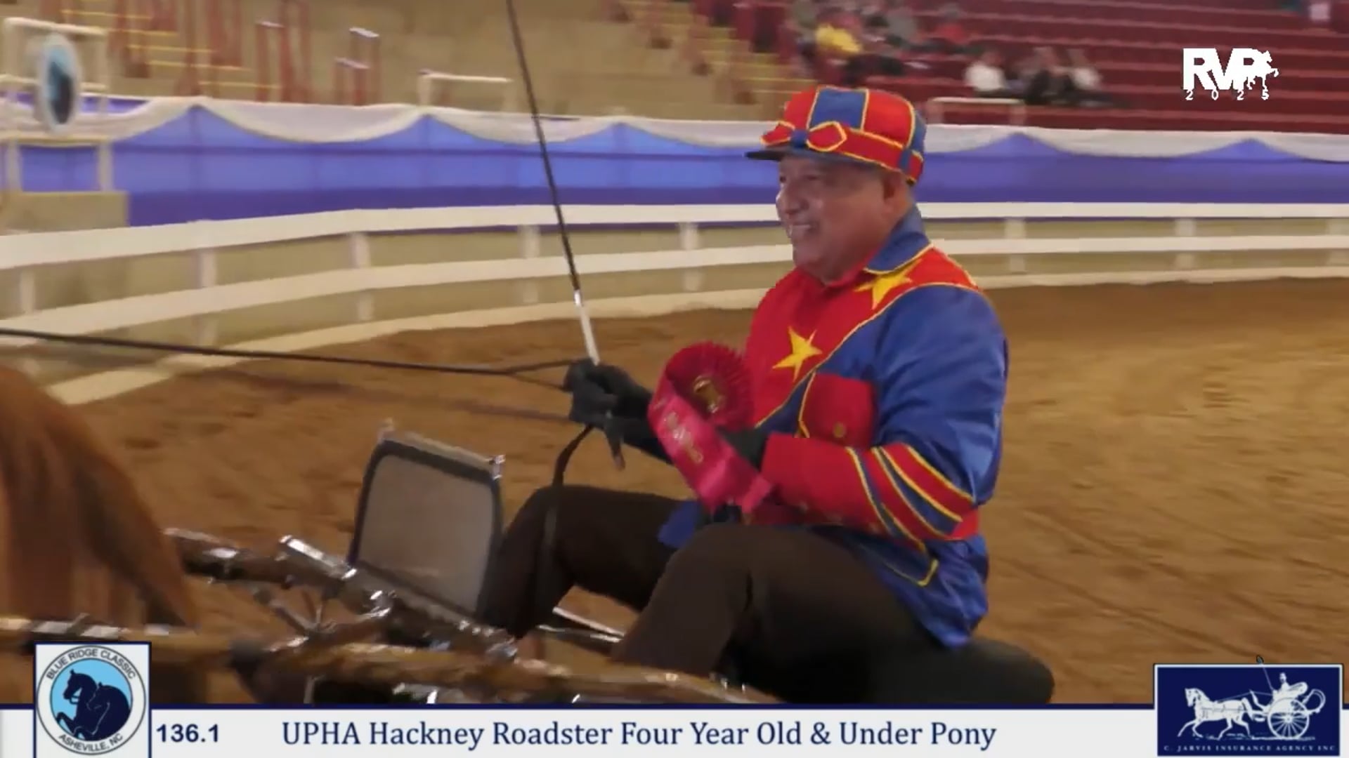 BRC25 - Class 136.1 - UPHA Hackney Roadster 4 Yr Old Pony