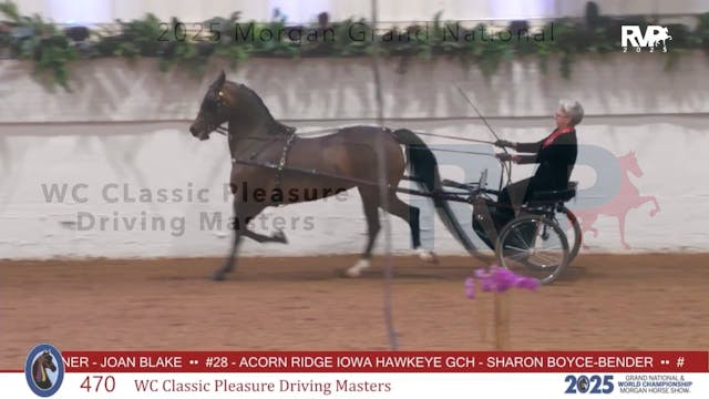 MGN25 - Class 470 - WC Classic Pleasu...