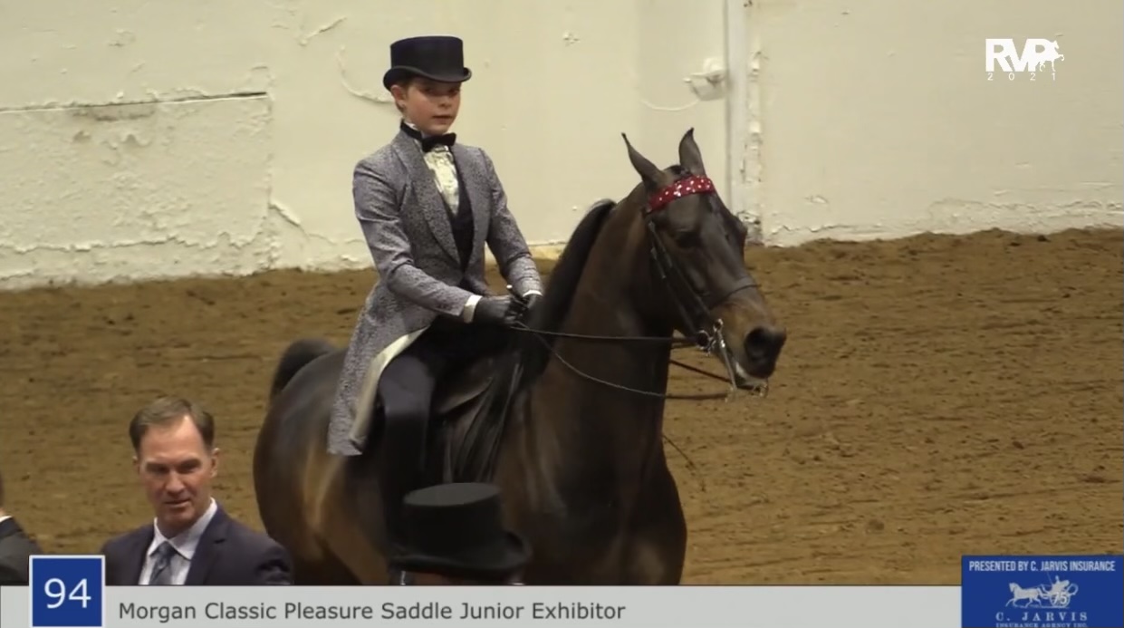 BB21 - Class 94 - Morgan Classic Pleasure Saddle Junior Exhibitor