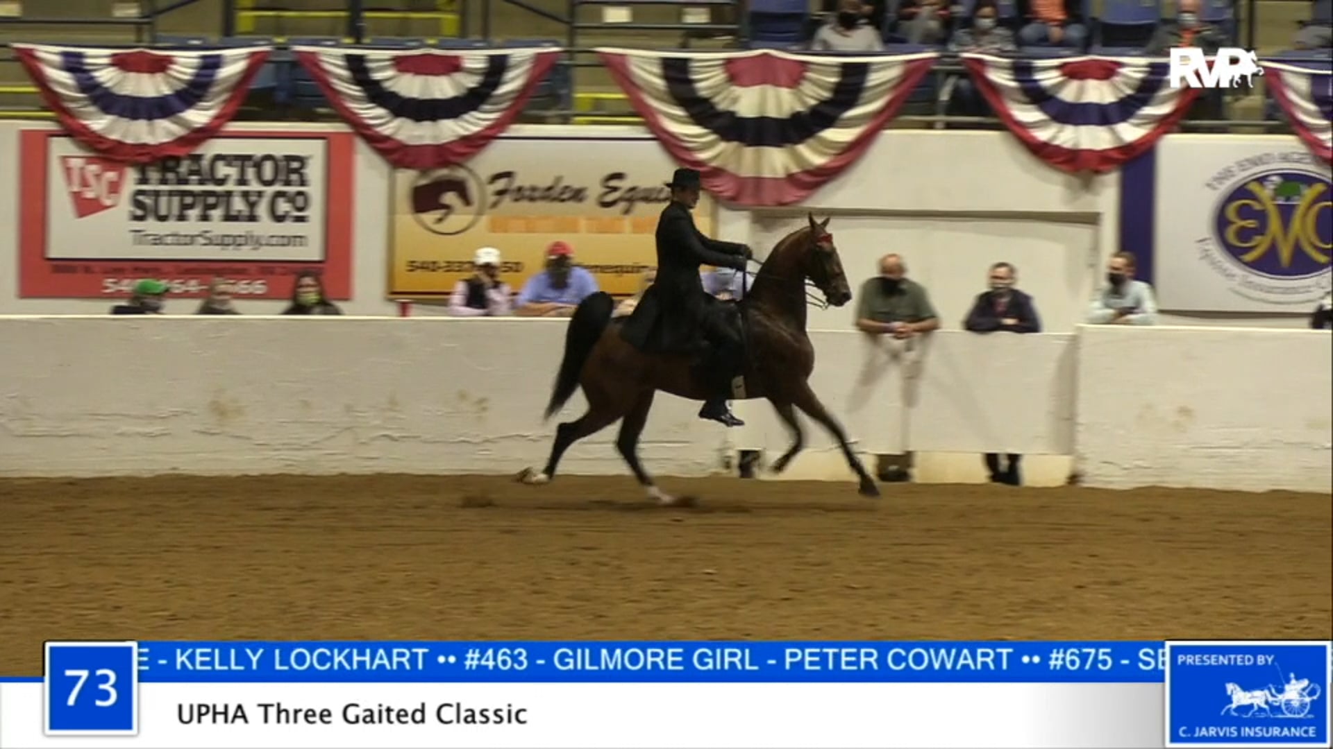 2020 BB - Class 73 UPHA Three Gaited Classic