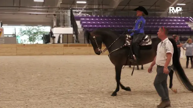 CC26 - Class 94 - Morgan Western Plea...