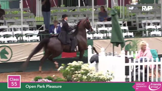 2015 LJL - Class 55 Open Park Pleasure 