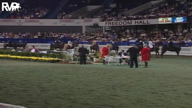 2004 World's Championship Horse Show ...