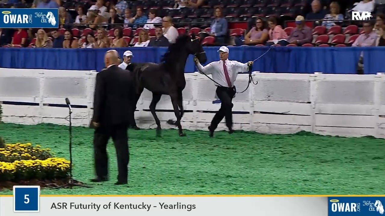 WCHS18 Class 5 - Walterway's Everlasting Effect