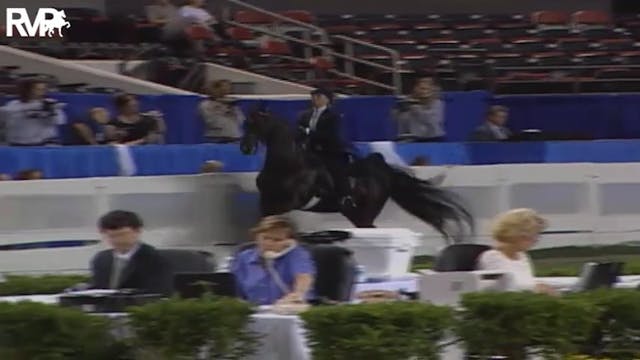 2004 World's Championship Horse Show ...