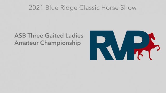 BR21 - Class 193 - ASB Three Gaited L...