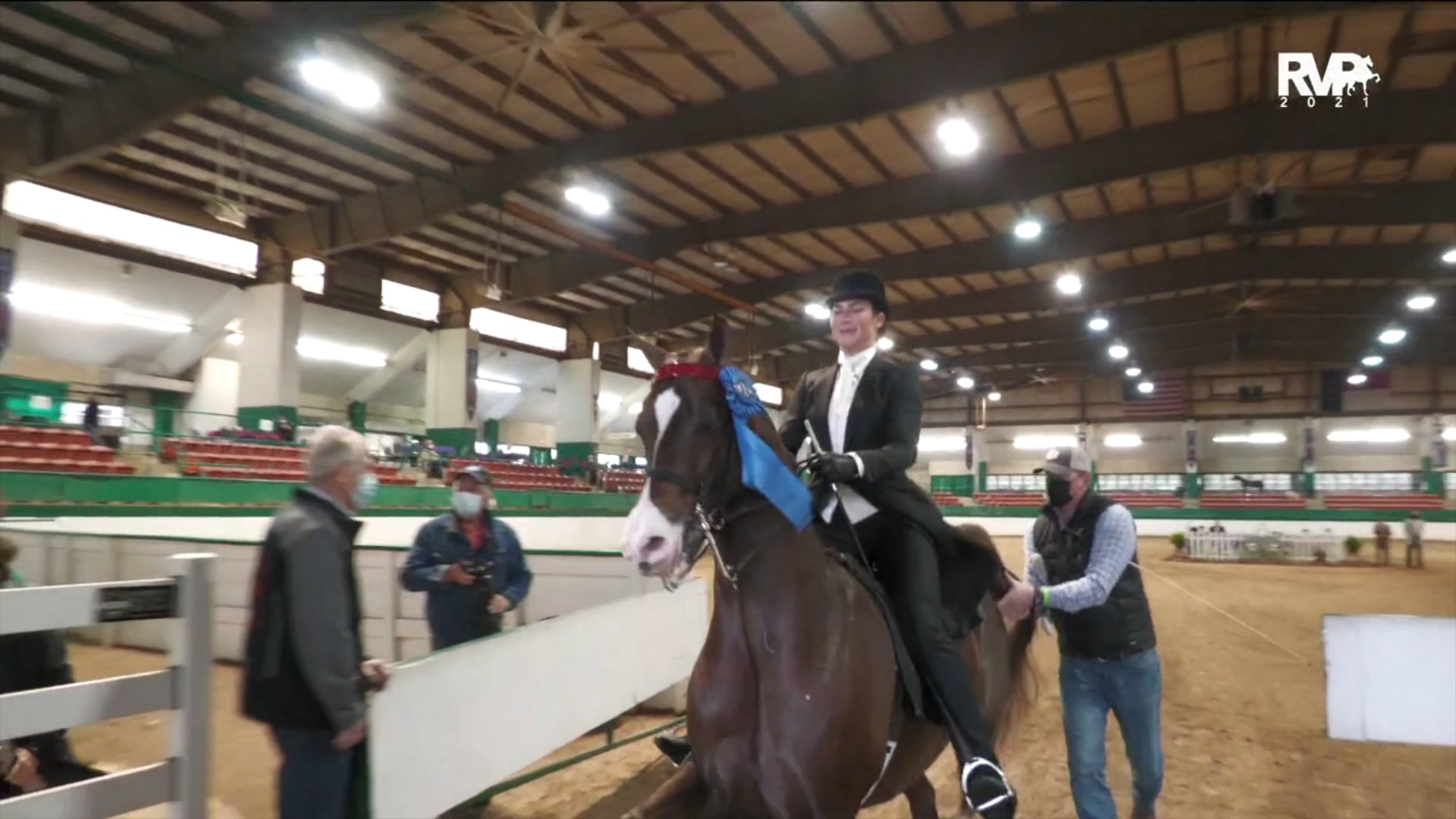 RSP21 - Class 1 - Morgan English Pleasure Open