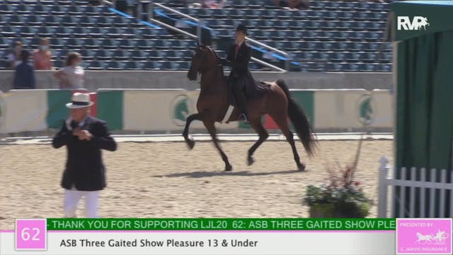 2020 LJL - Class 62 ASB Three Gaited ...