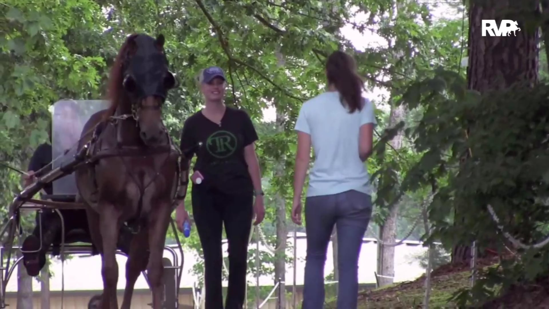 2020 Bridlespur Horse Show - Academy