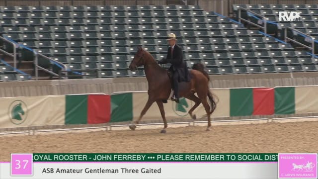 2020 LJL - Class 37 ASB Amateur Gentl...