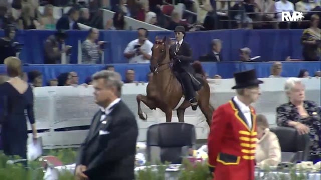 2012 WCHS - Class 245 Five Gaited Wor...