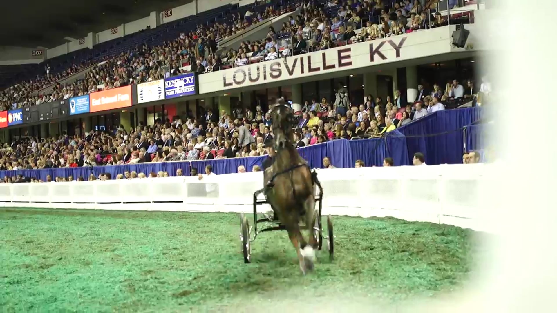 WCHS15 - Jim Stachowski - Fine Harness World's Grand Champion
