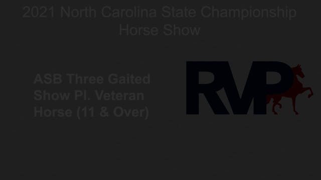 NCSC21 - Class 8 - ASB Three Gaited S...