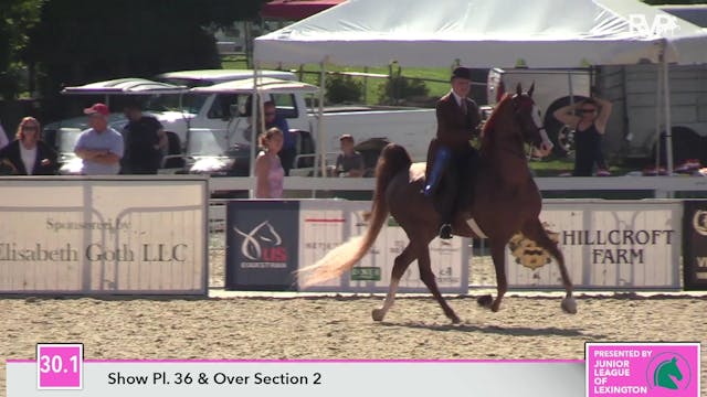 LJL19 - Class 30.2 - CH Fox  Grape's ...