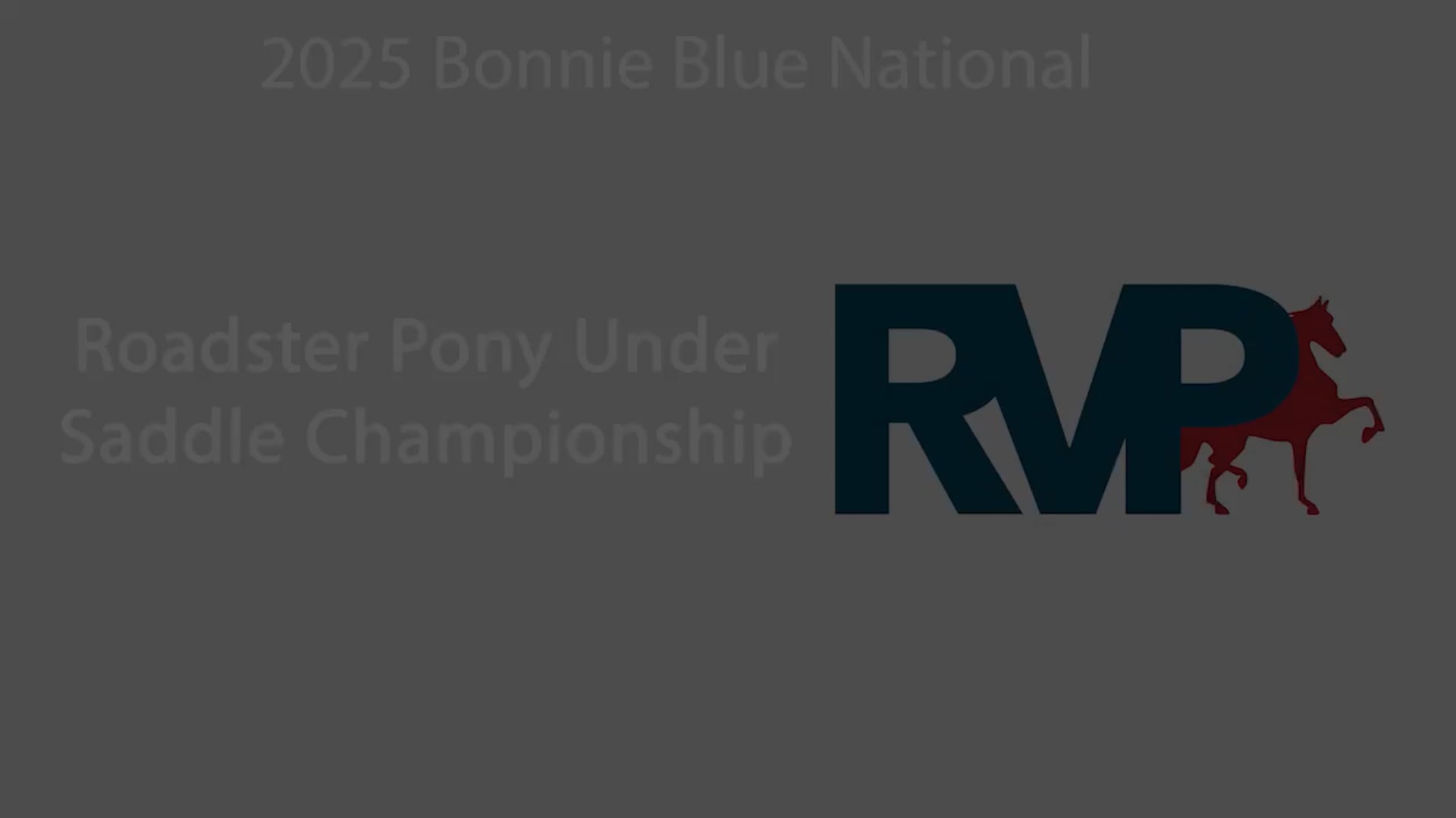 BB25 - Class 120 - Roadster Pony Under Saddle Championship