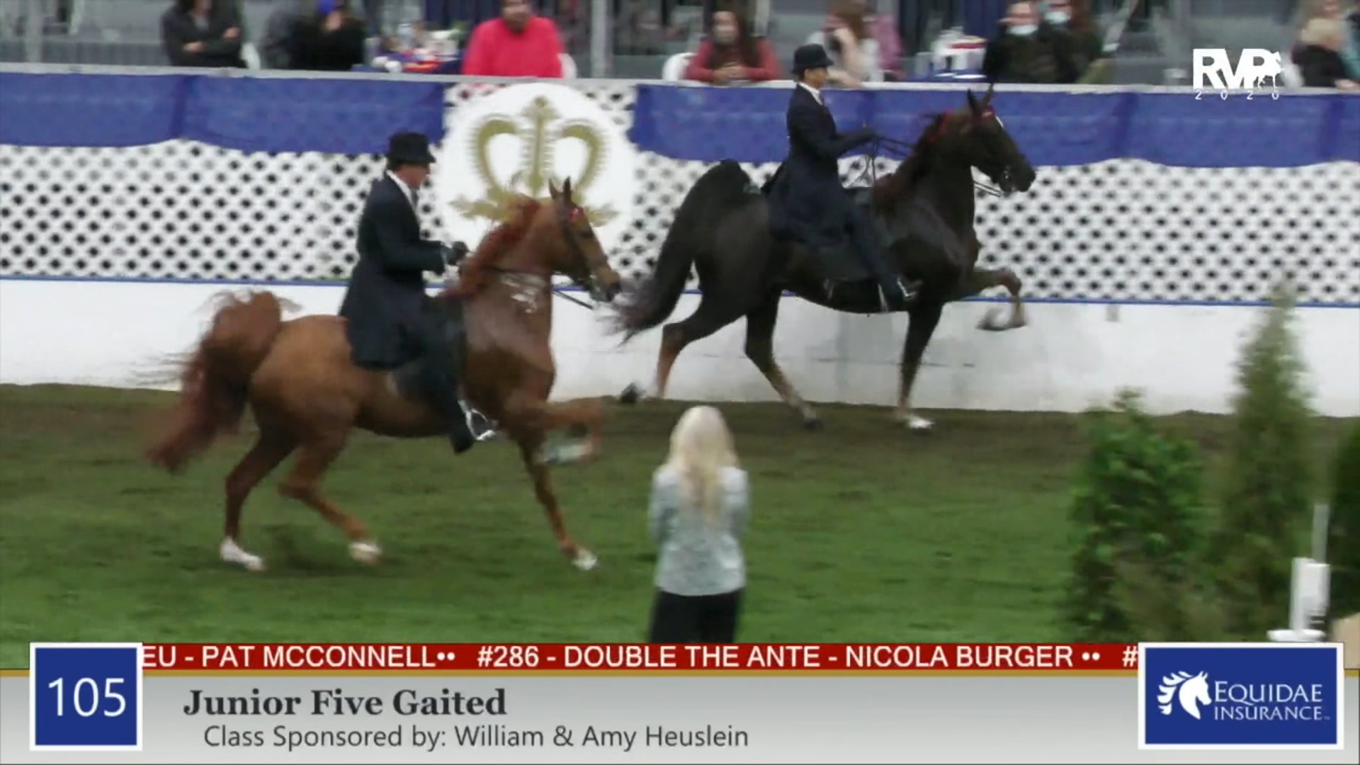 2020 AR - Class 105 Junior Five Gaited