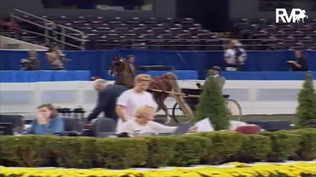2003 WCHS Class 63 ASB Adult Show Ple...