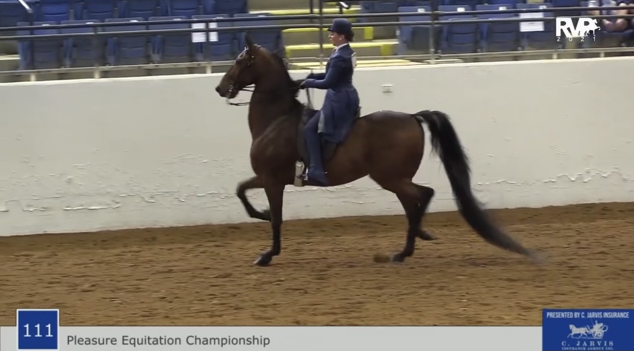 BB21 - Class 111 - Pleasure Equitation Championship