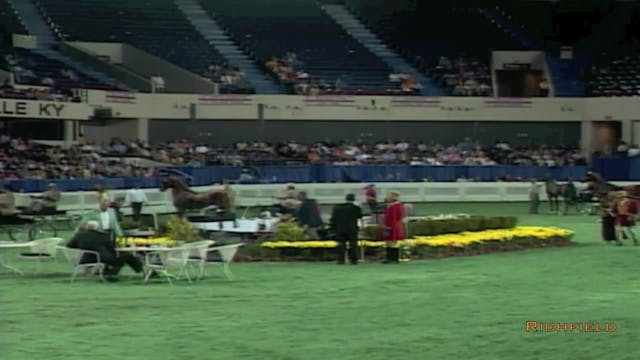 2002 WCHS Class 14 Junior Fine Harnes...