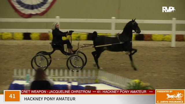 KFC 2020 - Class 41 Hackney Pony Amat...