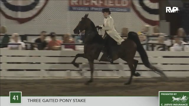 2016 RC - Class 41 Three Gaited Pony ...