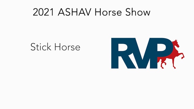 ASHAV21 - Stick Horse