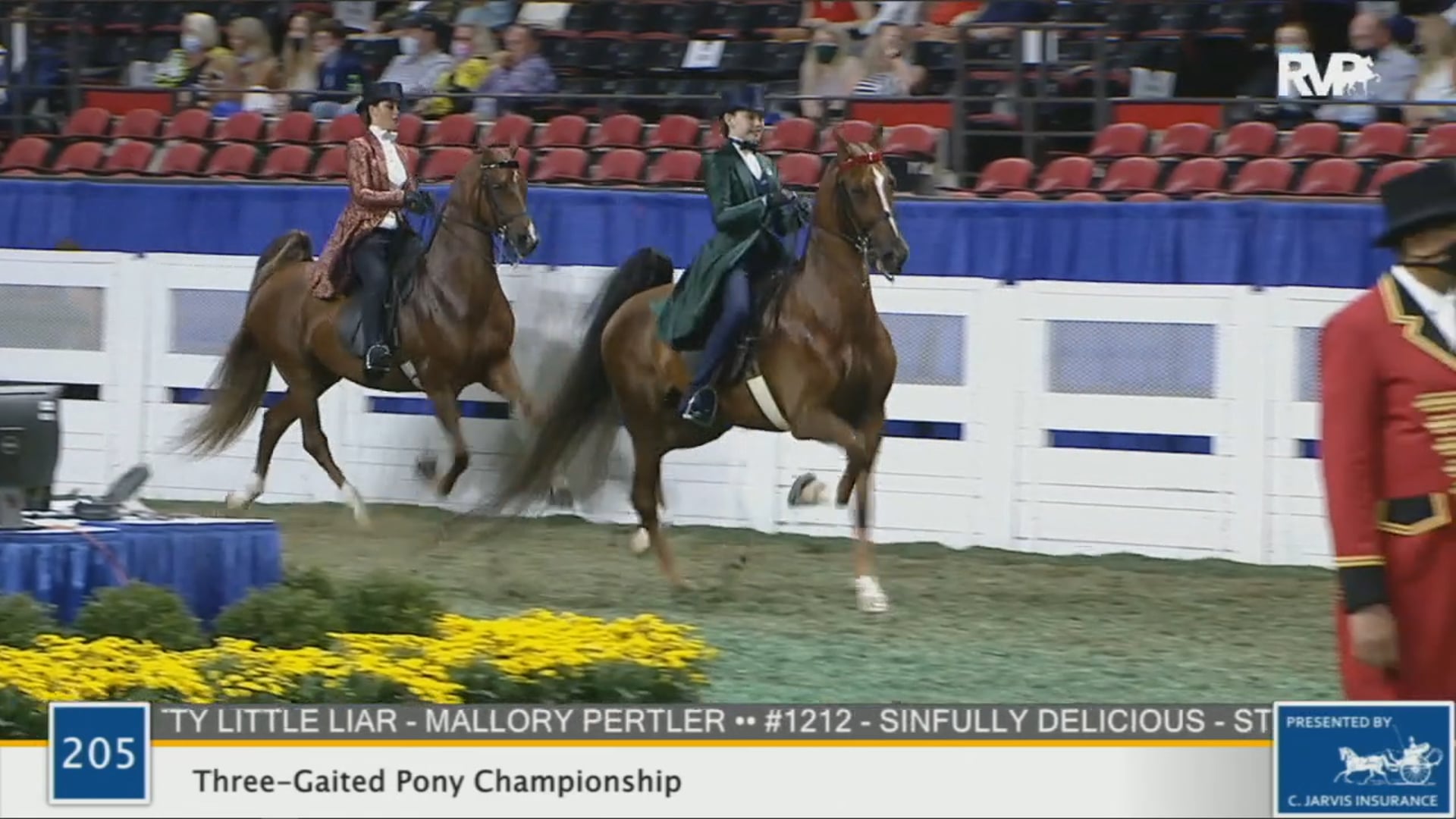 WCHS 2020 Class 205 - Three-Gaited Pony Championship