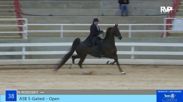 ASW21 - Class 38 - ASB Five Gaited Open