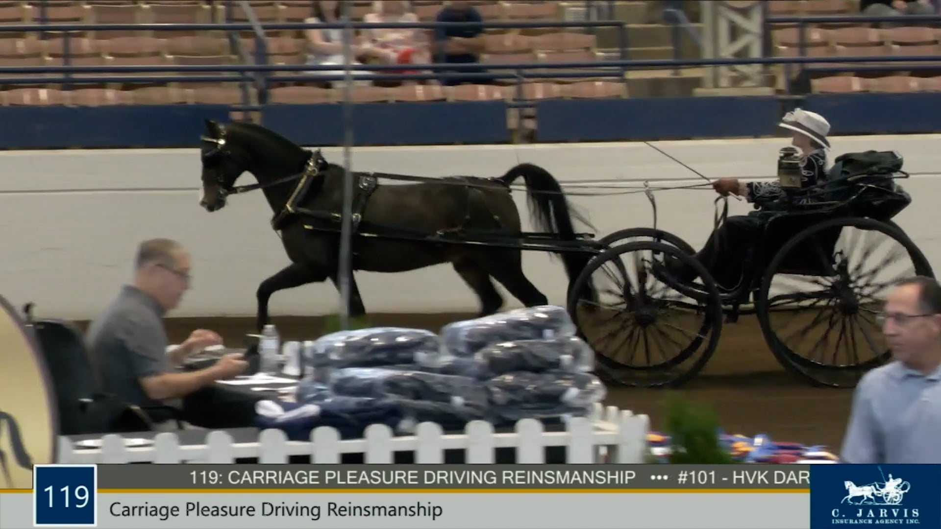 MJ21 - Class 119 - Carriage Pleasure  Driving Reinsmanship