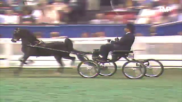 1992 WCHS Class 147 Amateur Harness P...