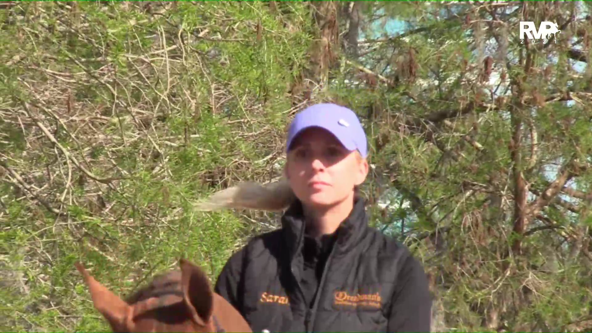 2021 Gasparilla Horse Show - Thursday Morning