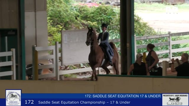 SS24 - Class 172 - Saddle Seat Equita...