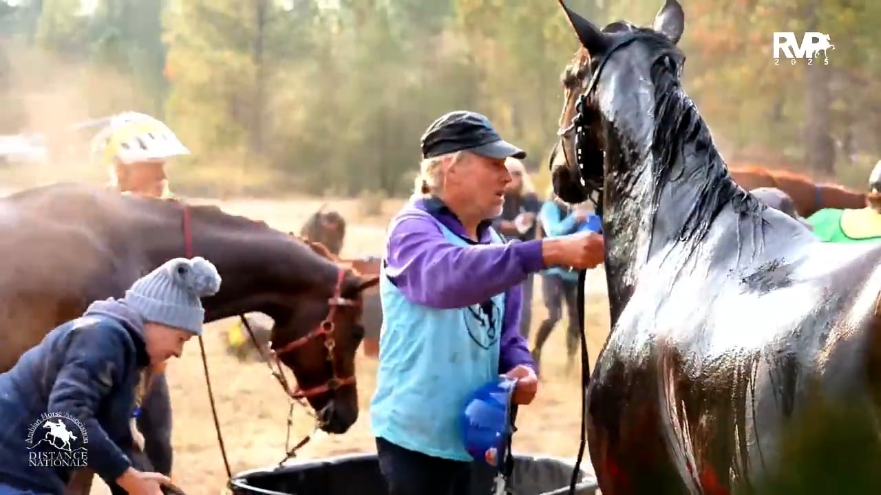 2025 Arabian Nationals - Monday Morni...