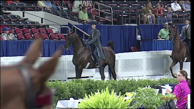 2010 WCHS -  Class 66 - Five Gaited S...