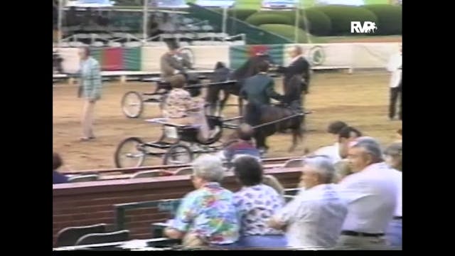 1995 Lexington Junior League - Amateu...