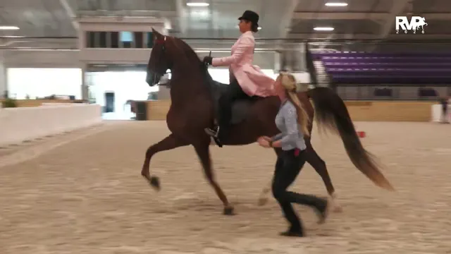 CC26 - Class 125 - WT Pleasure 13-17 ...