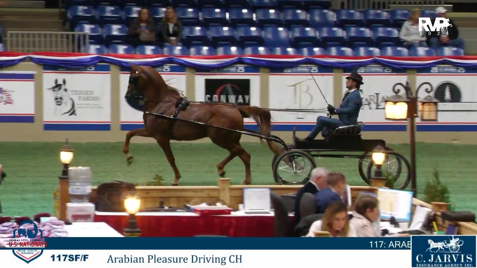 AN25 - Class 117 - Arabian Pleasure Driving Championship