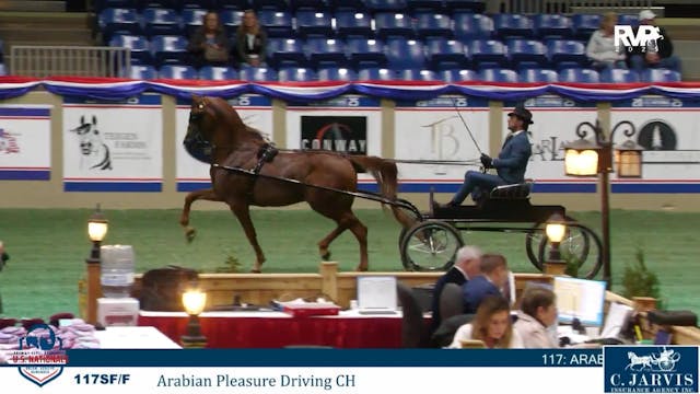 AN25 - Class 117 - Arabian Pleasure D...
