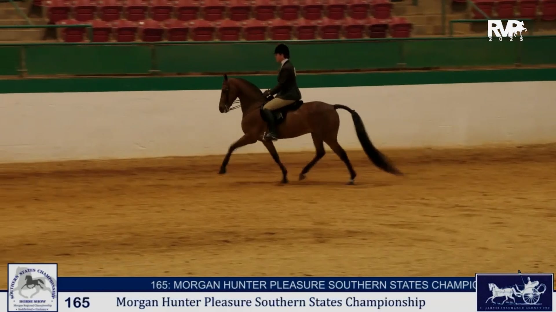 SS25 - Class 165 -  Morgan Hunter Pleasure Southern States Championship