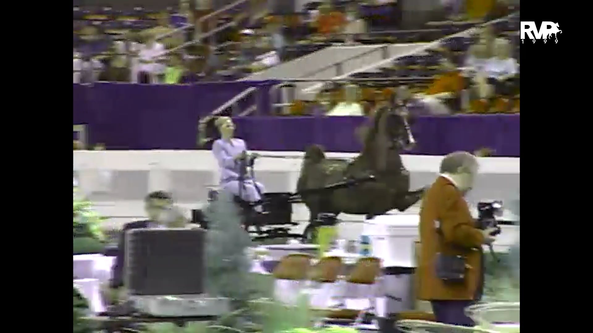 1999 WCHS - Class 202 Three Year Old Fine Harness Stake