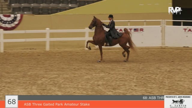 KYFC22 - Class 68 - ASB Three Gaited ...