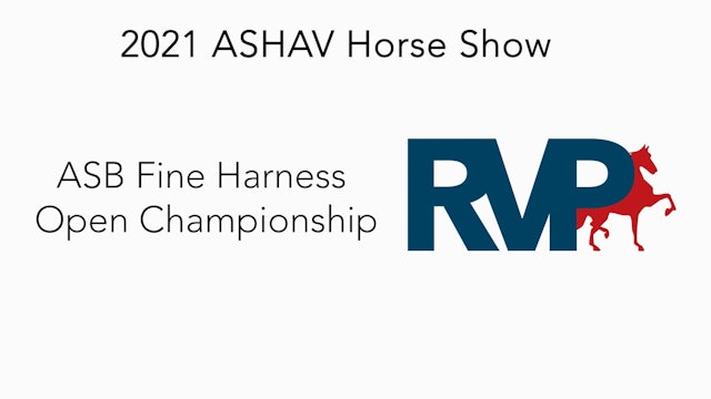 ASHAV21 - Class 104 - ASB Fine Harness Open Championship
