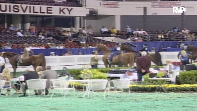 2006 WCHS Class 113A Equitation Open ...