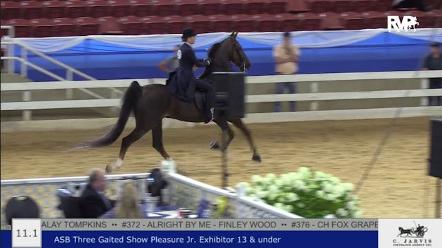 BR22 - Class 11.1 - ASB Three Gaited ...