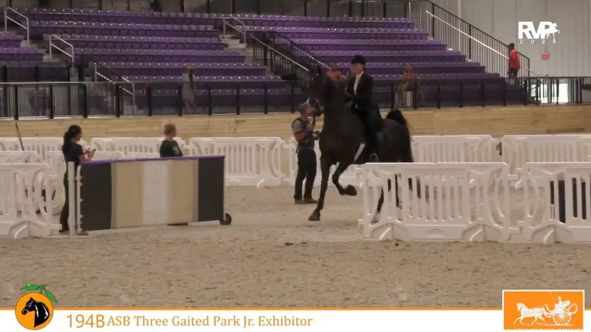 CC25 - Class 194B - ASB Three Gaited Park Jr Exhibitor