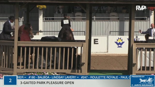 KYSP20 - Class 2 Three Gaited Park Pl...
