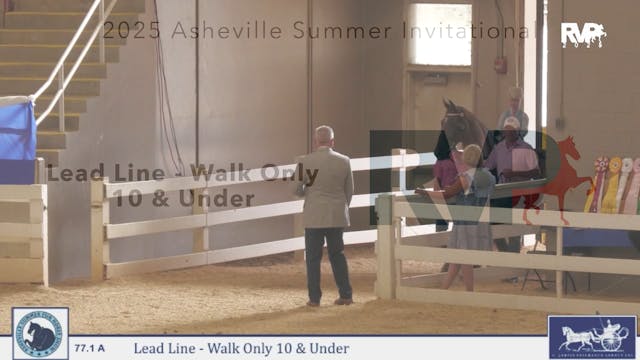 ASF25 - Class 77.1A - Lead Line - Wal...