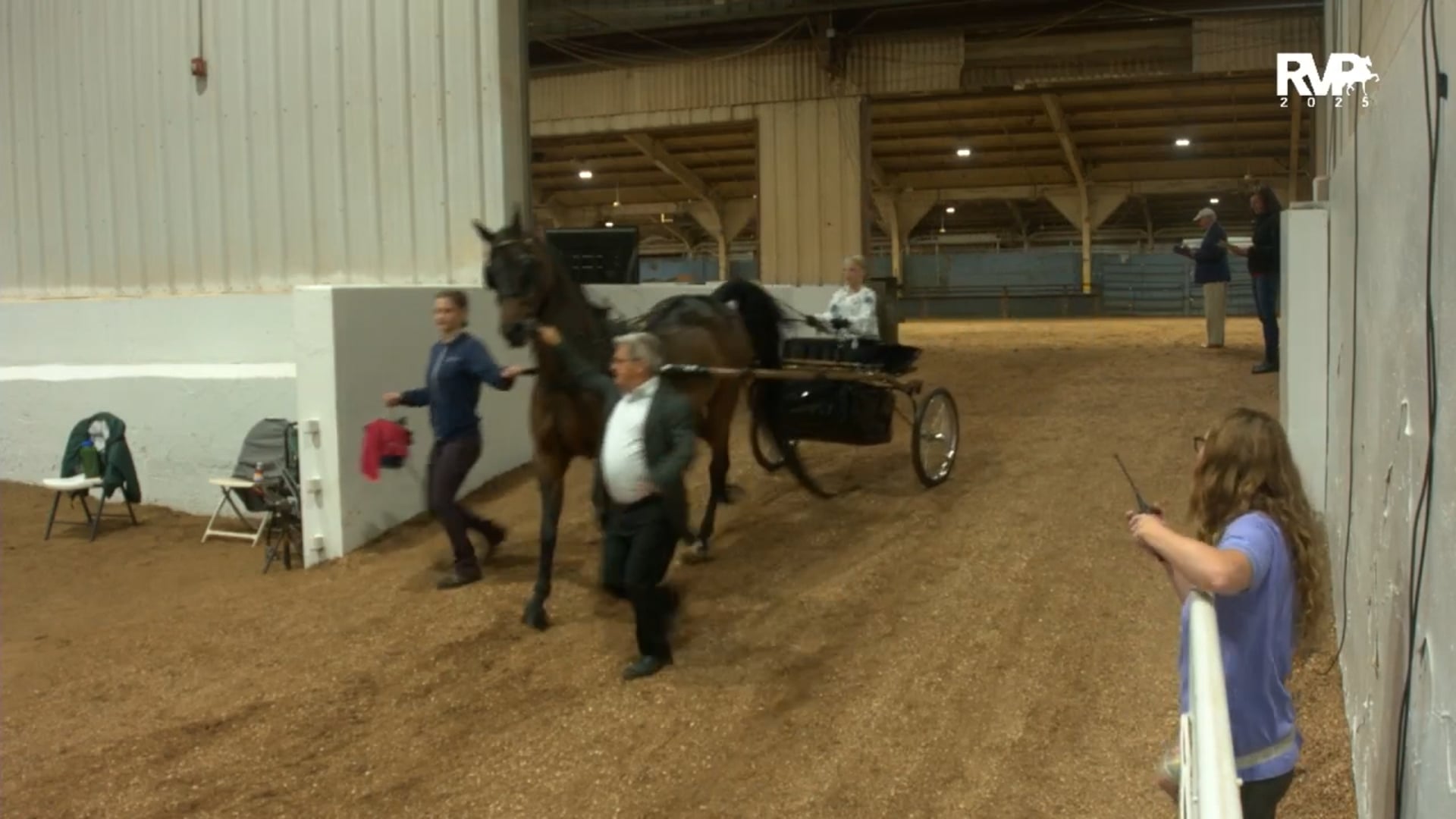 MGN25 - Class 406 - WC Pleasure Driving Jr Exhibitor 13 & Under