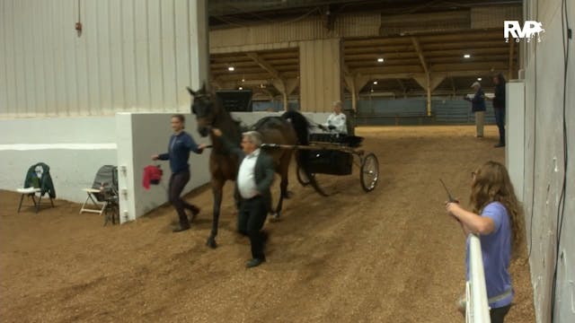 MGN25 - Class 406 - WC Pleasure Drivi...