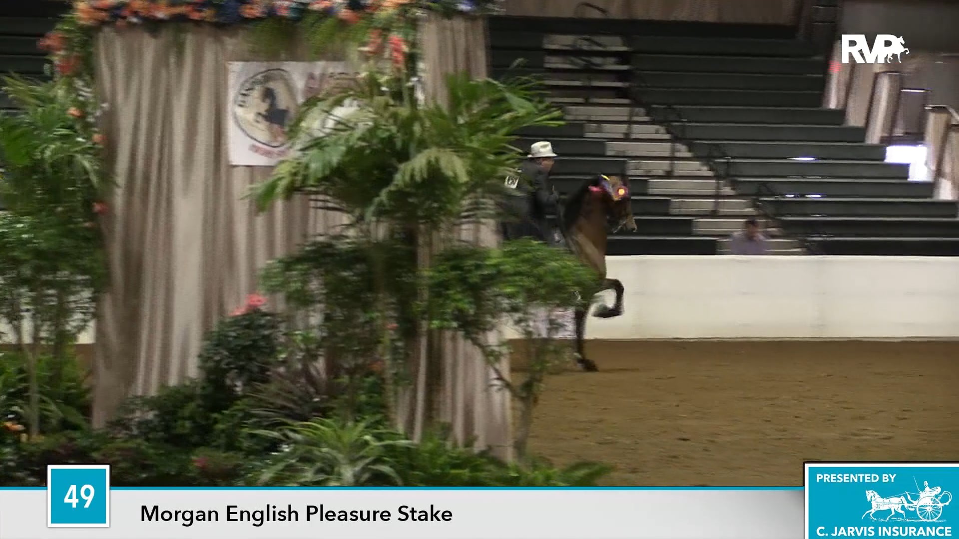 UPHA16 - Class 49 - Cimi's Avante Garde